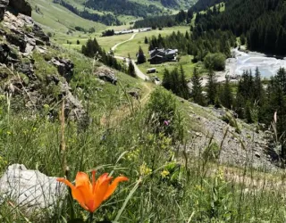 Champagny-le-Haut