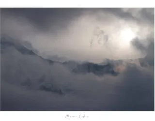 landschap