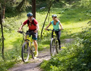Circuit E-VTT (Mountainbike met elektrische ondersteuning) : Les Bauches