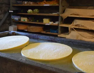 Les Mercredis de Granier: Natuuractiviteiten voor het hele gezin_Aime-la-Plagne
