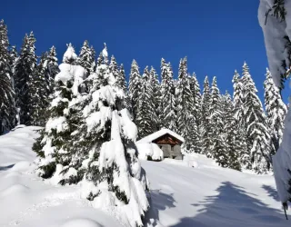 Balade à raquettes - Boucle du bief_La Plagne Tarentaise