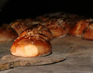 Broodfeest