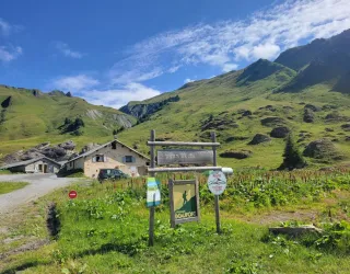 Gemakkelijke wandeling naar de alpenweide van Plan Pichu/Refuge de la Coire Gemakkelijke wandeling naar de alpenweide van Plan Pichu/Refuge de la Coire_Aime-la-Plagne