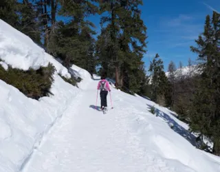 Plagne Bellecôte - Forcle