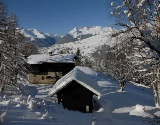 Traject met sneeuwschoenen "Montchavin - Les Coches via Praz Salvard"