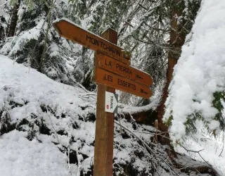 Sneeuwschoenwandeling "Montchavin-Les Coches via Praz Salvard