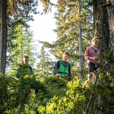 Balade_en_foret-JNJ_Photo-25351