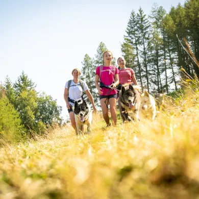 Cani Rando en famille