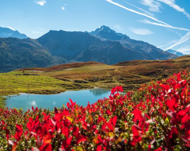 Wandelroute : Het meer van Carroley_Montchavin-les-Coches