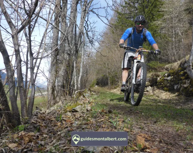 Gidsenbureau La Plagne Montalbert