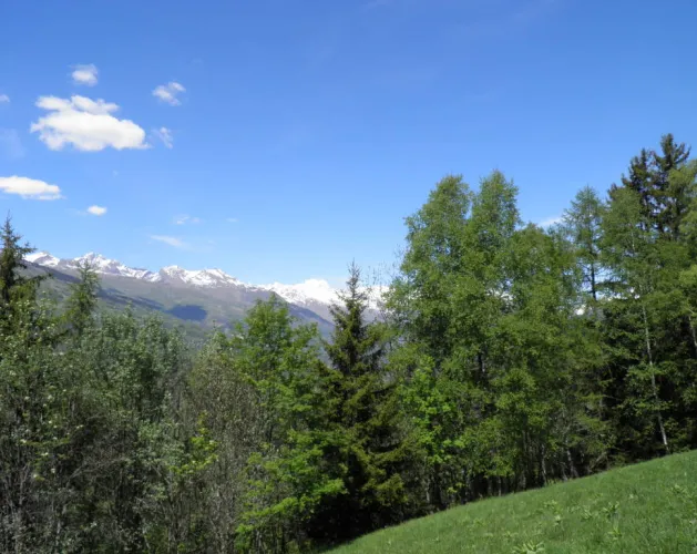 De weg naar la Pierra
