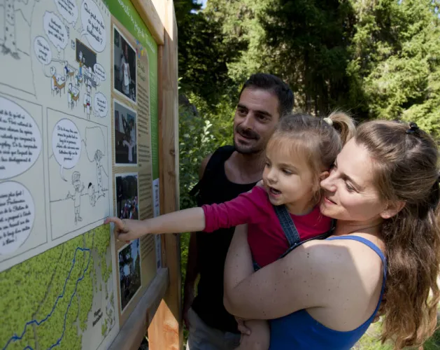 Biodiversiteit zomer
