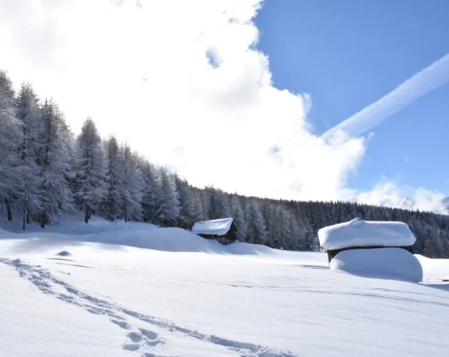 Wandelroute : Les Frasses_Montchavin-les-Coches