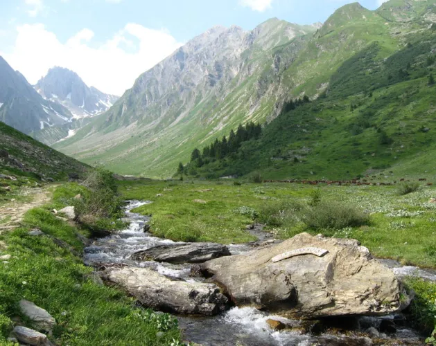 Pad der kanalen en alpenweiden van Fours