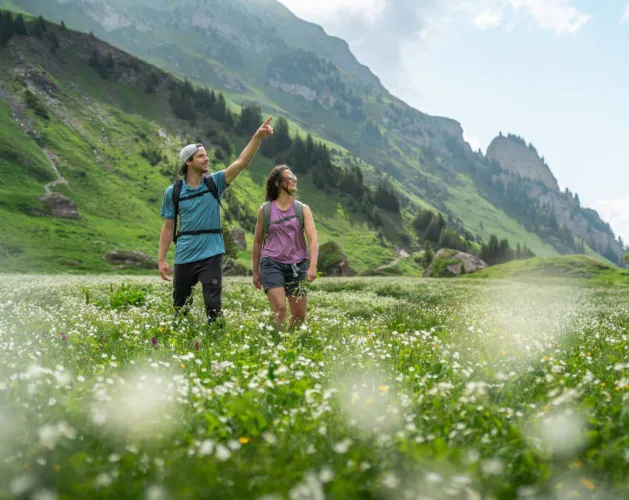 Wandelroute: Sentier du Plateau de Plan Pichu (Plan Pichu plateau wandelroute)_Aime-la-Plagne