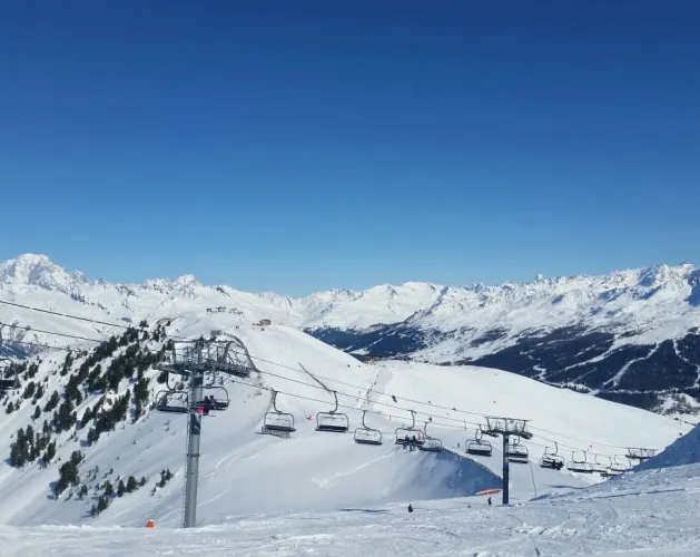 Mont Blanc panorama vanop de top van de Arpette.