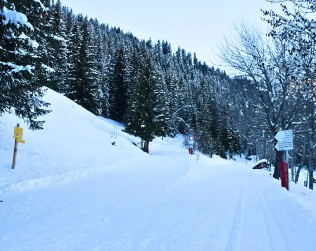 Noordse routes van Pra Chanié_Aime-la-Plagne