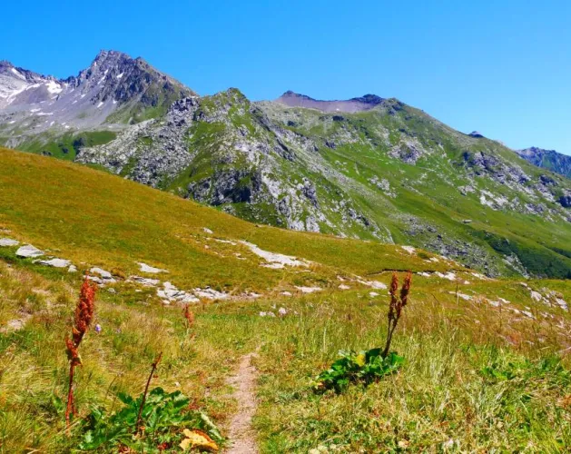 Randonnée Le Lac de la Vélière et l'alpage de la Chiaupe 1