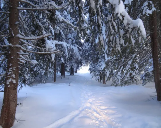 Sneeuwschoenwandeling Comba Damon
