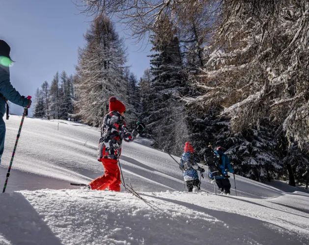 Route sneeuwschoenwandelen: Le Bois des Fornettes