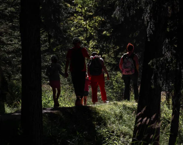 Route Bois des Fornettes