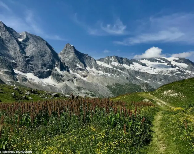 Matthieu RONDOUIN - Berggids