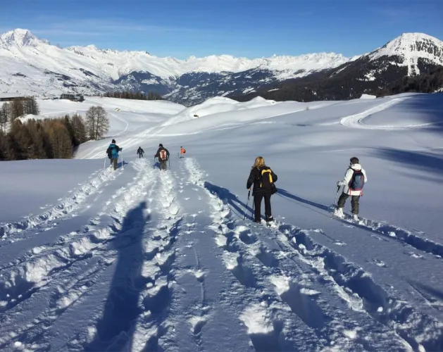Wandelingen met sneeuwschoenen_Plagne-Montalbert