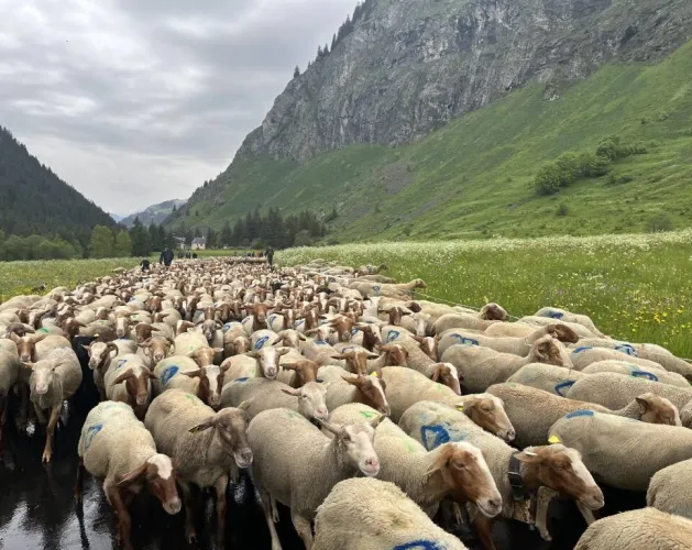 Fête de l'emmontagnée_Champagny-en-Vanoise