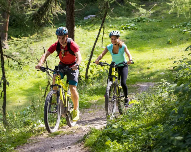Circuit E-VTT (Mountainbike met elektrische ondersteuning) : Les Bauches