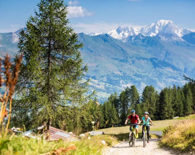 Circuit E-VTT (Mountainbike met elektrische ondersteuning) : Les Bauches