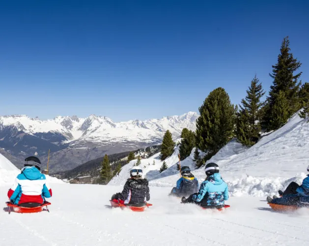 Colorado Luge