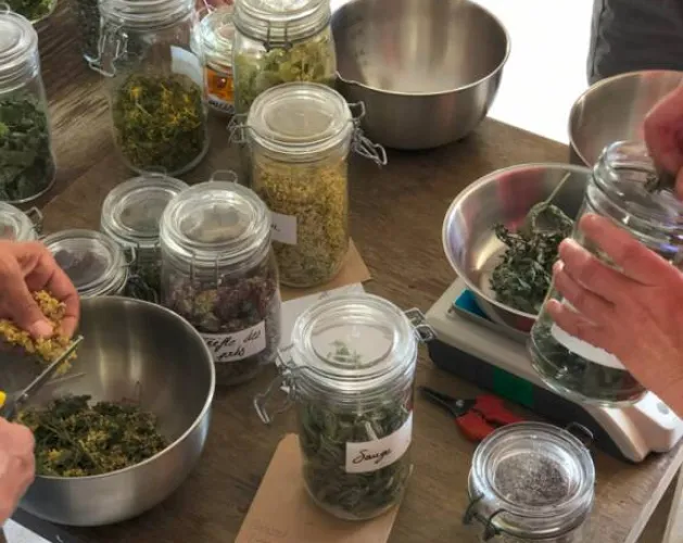 Atelier tisane Ortie Menthe