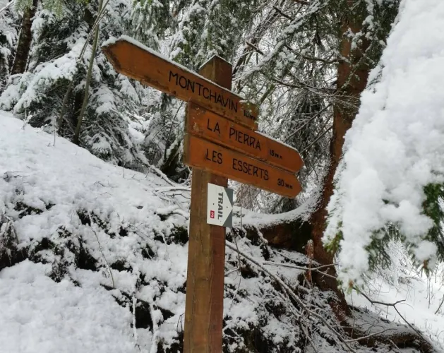 Sneeuwschoenwandeling "Montchavin-Les Coches via Praz Salvard