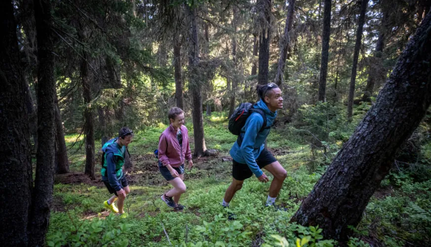 Balade en forêt