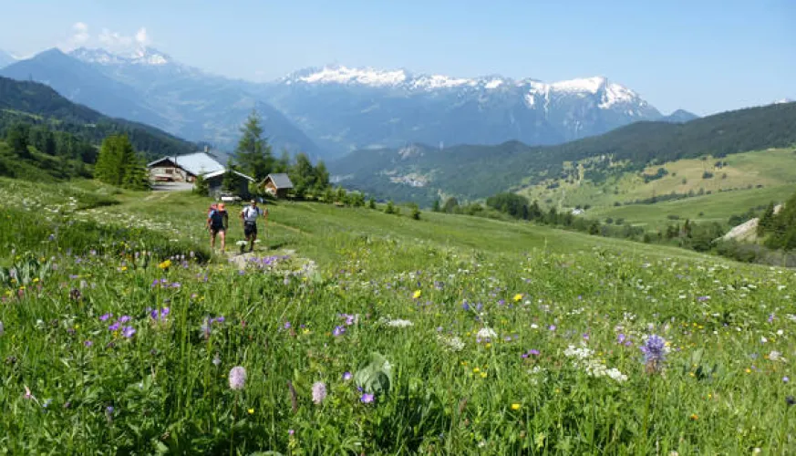 Grand Tour de Tarentaise - Wandelen 27 dagen