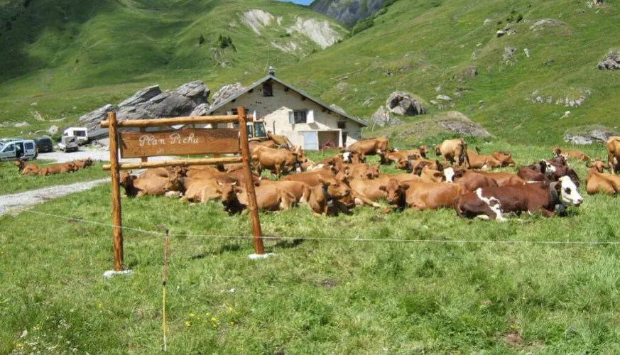 Plan Pichu, vallei van la Plagne