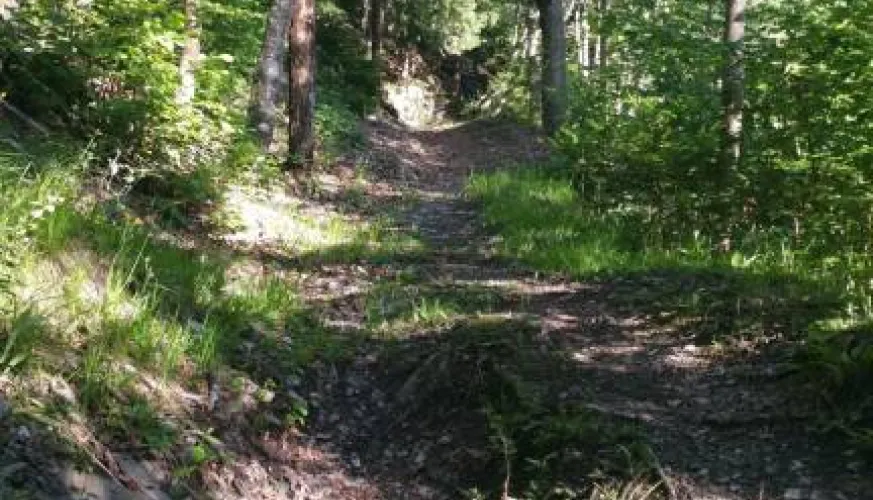 Sentier de St Marcel la Vallée de la Plagne