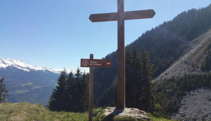 Pad van la Combe au Chapieu, vallei van la Plagne