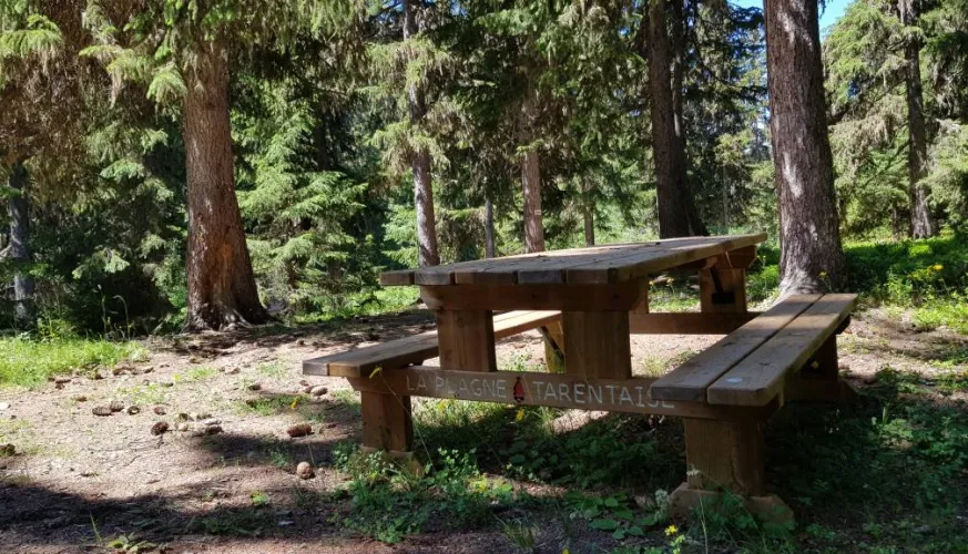 Picknicktafel bij het