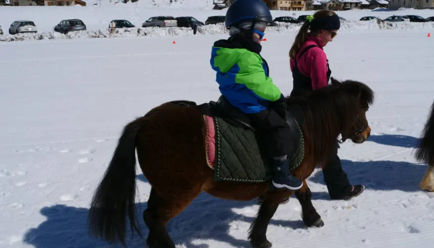 Balade poney