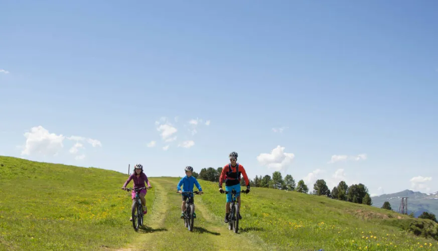 Elektrische mountainbike