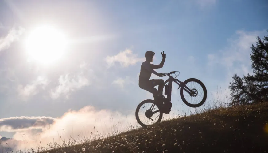 Elektrische mountainbike