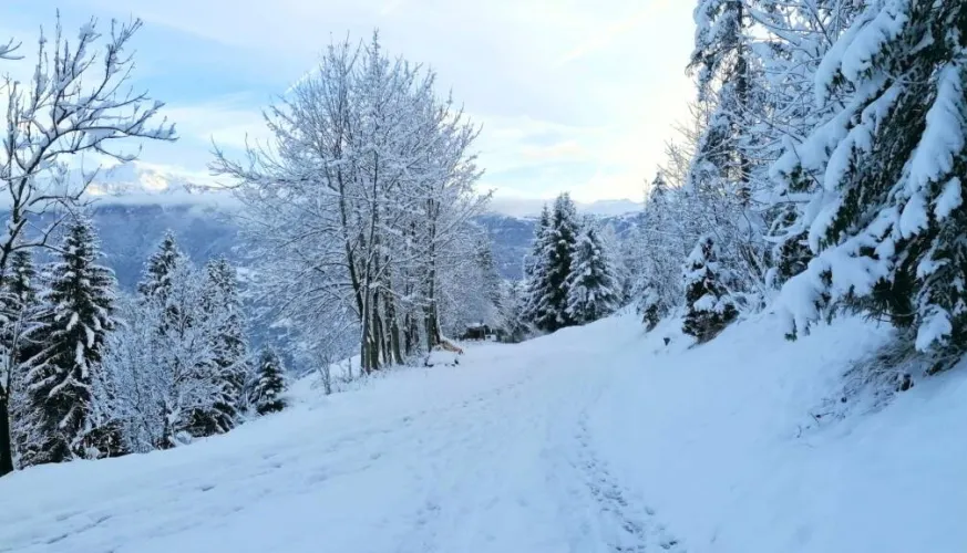 Sneeuwschoenwandelen - Beklimming van de alpenweiden_Aime-la-Plagne