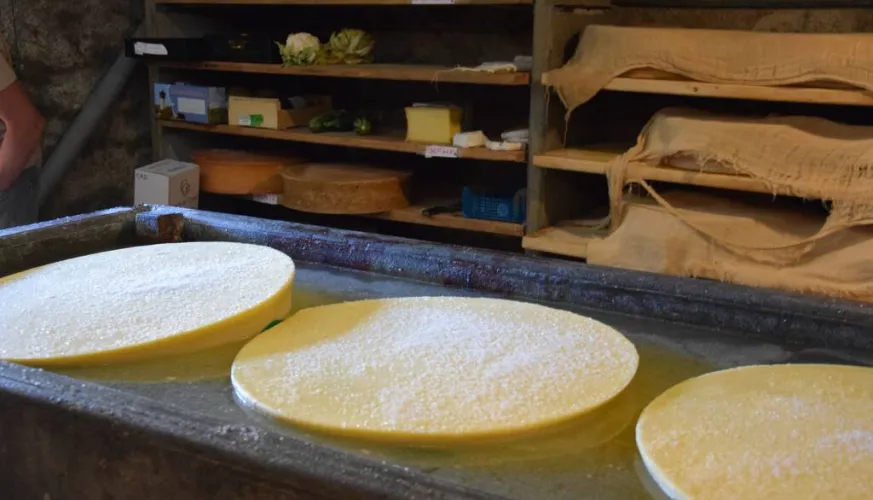 Les Mercredis de Granier: Natuuractiviteiten voor het hele gezin_Aime-la-Plagne
