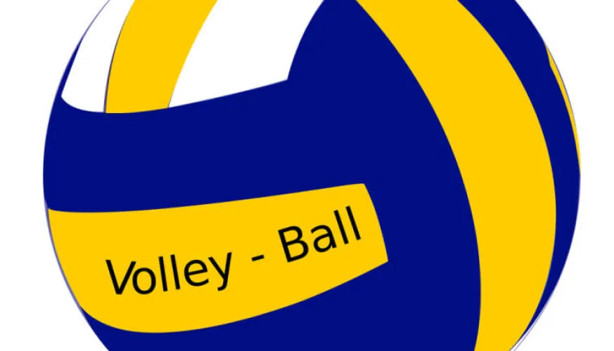 Volleybal