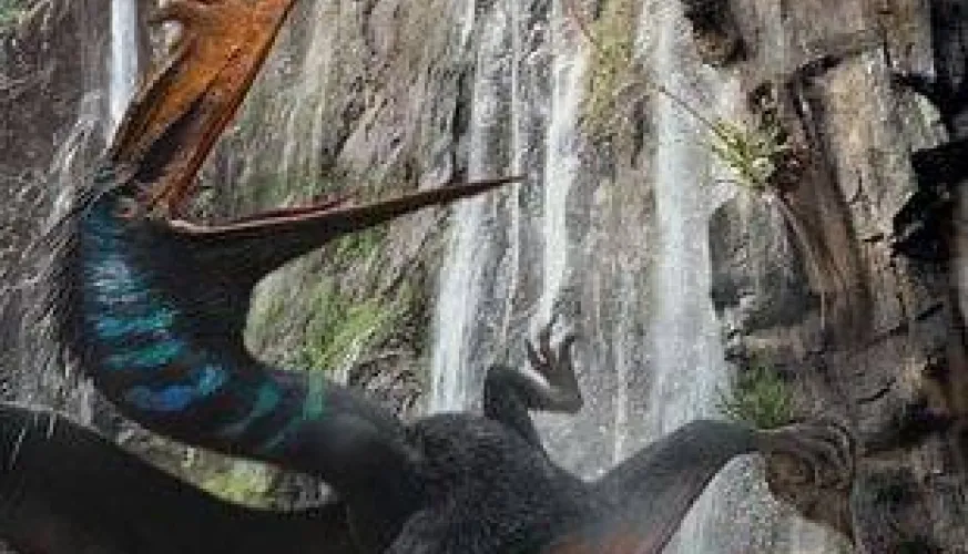 Bioscoop | Jurassic World: Renaissance_La Plagne