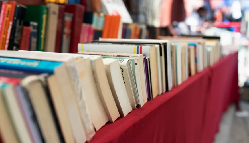 Plumes et Pinceaux" boekenbeurs_Aime-la-Plagne