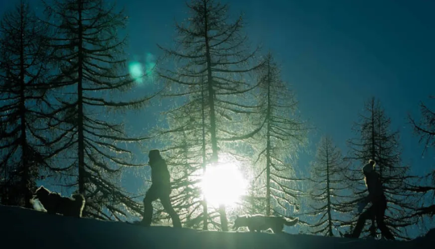 De avond van de musher!_Montchavin-les-Coches