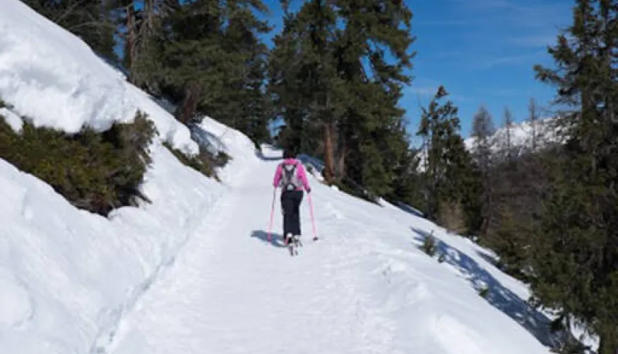 Plagne Bellecôte - Forcle