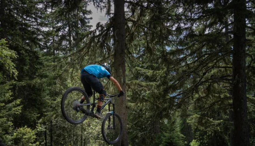 Mountainbike route - Forêt de Miollet_Champagny-en-Vanoise